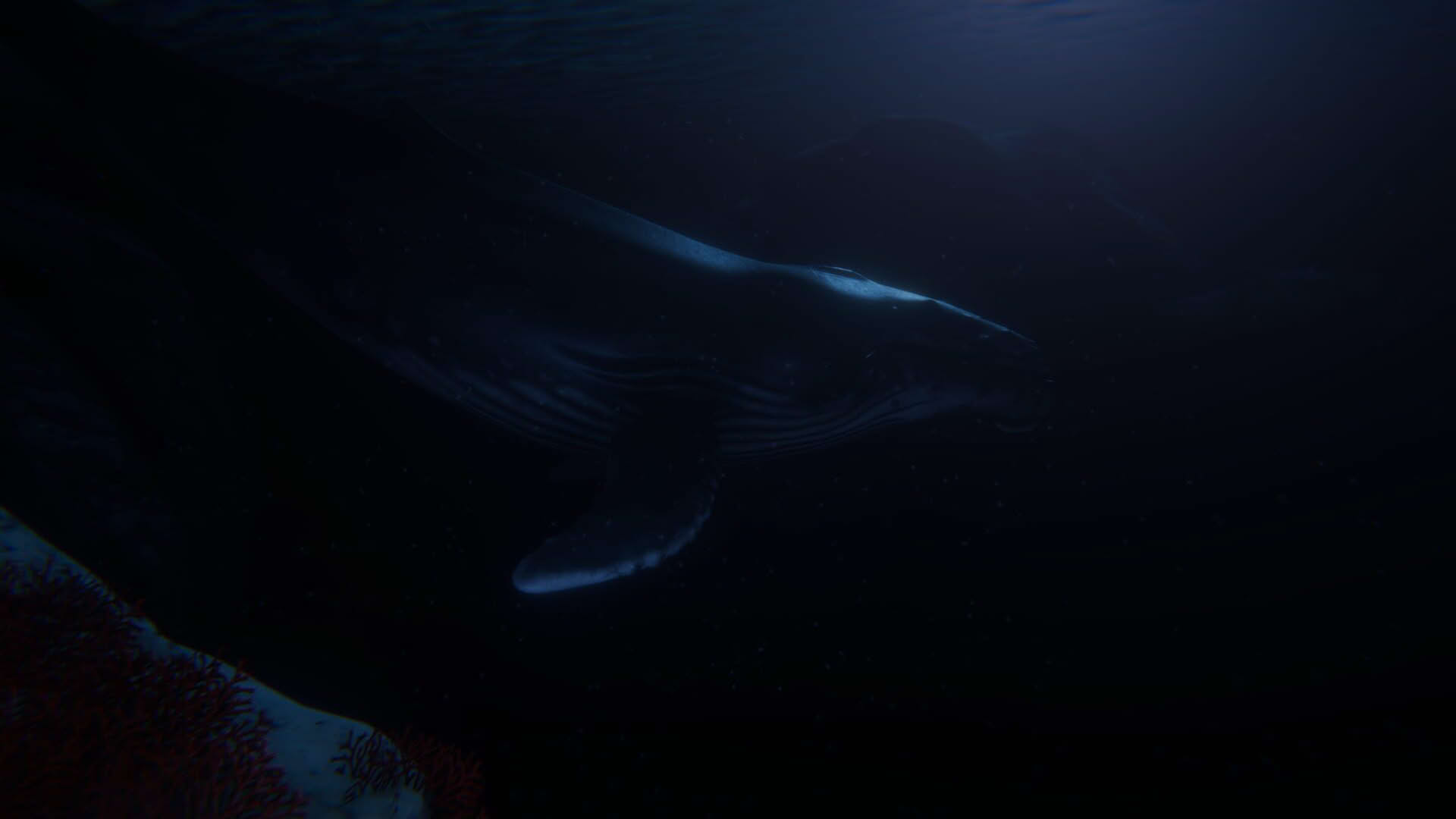 Screenshot for Beyond Blue