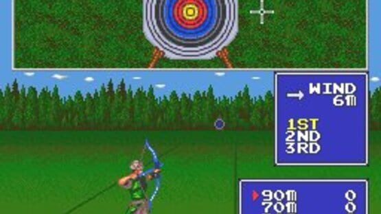 Screenshot for World Sports Competition