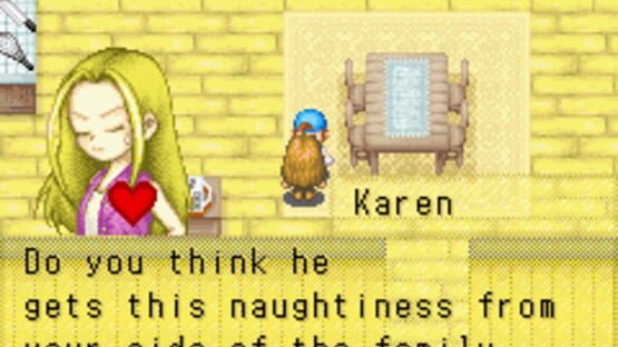 Screenshot for Harvest Moon: Friends of Mineral Town