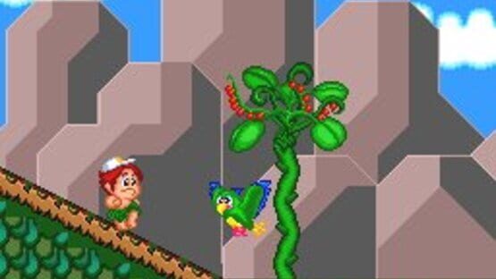 Screenshot for New Adventure Island