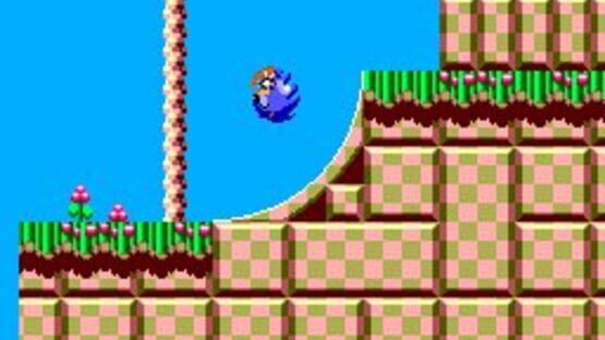 Screenshot for Sonic the Hedgehog Chaos