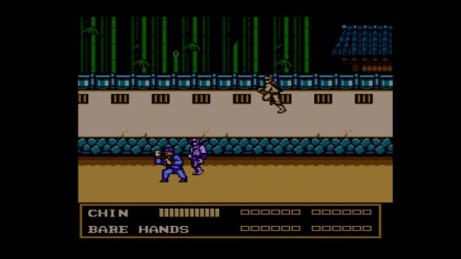 Screenshot for Double Dragon III: The Sacred Stones