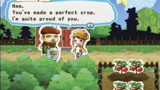 Screenshot for Harvest Moon: My Little Shop