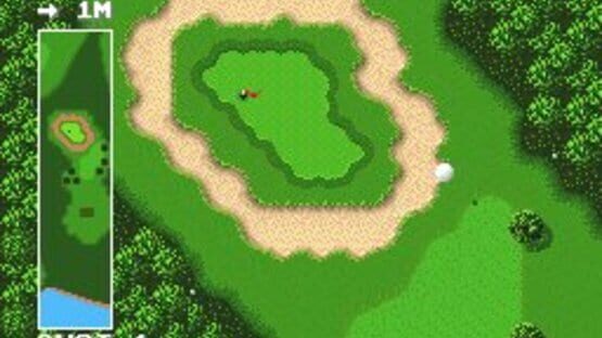 Screenshot for Power Golf
