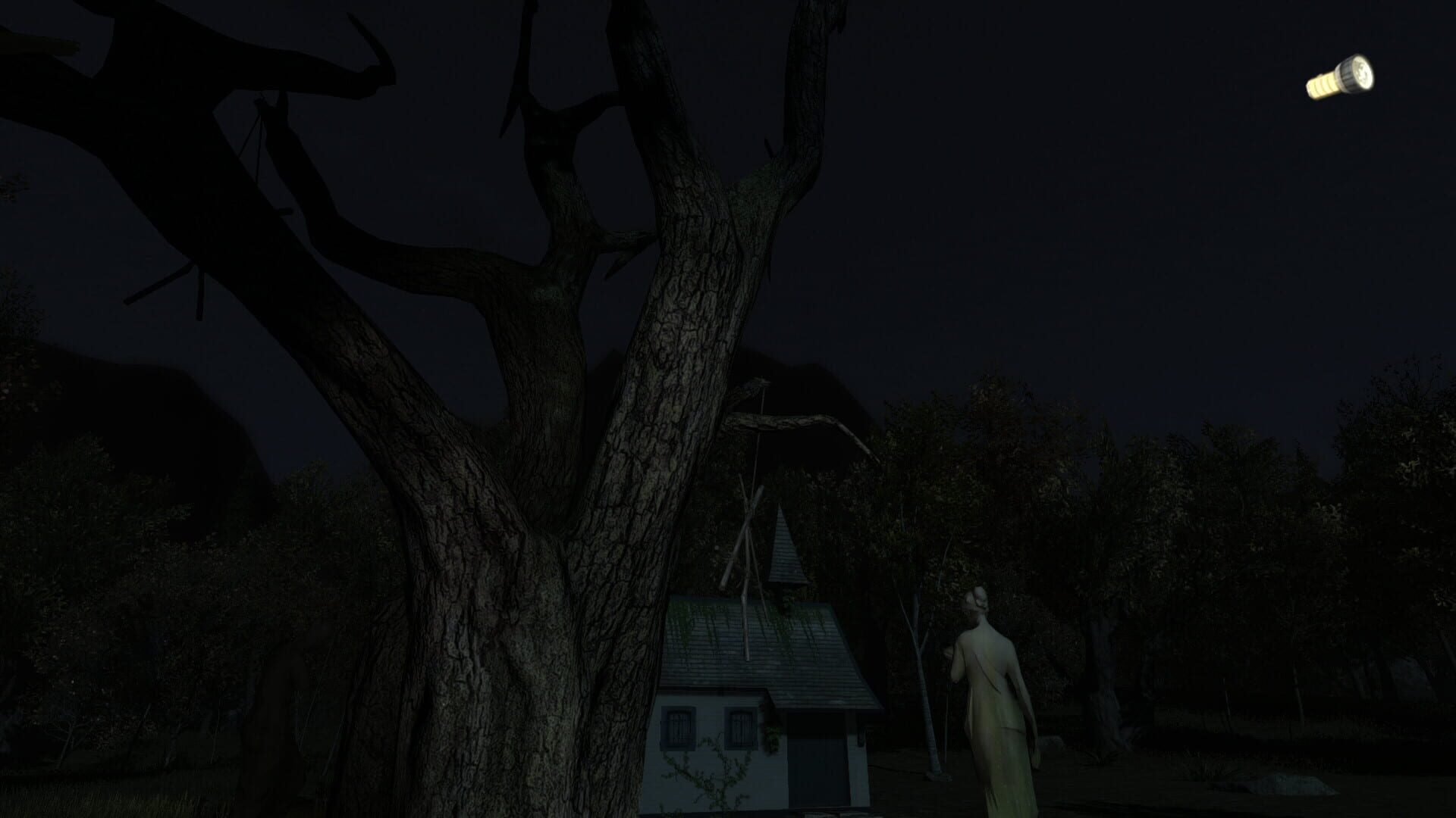 Screenshot for The Secret of Pineview Forest