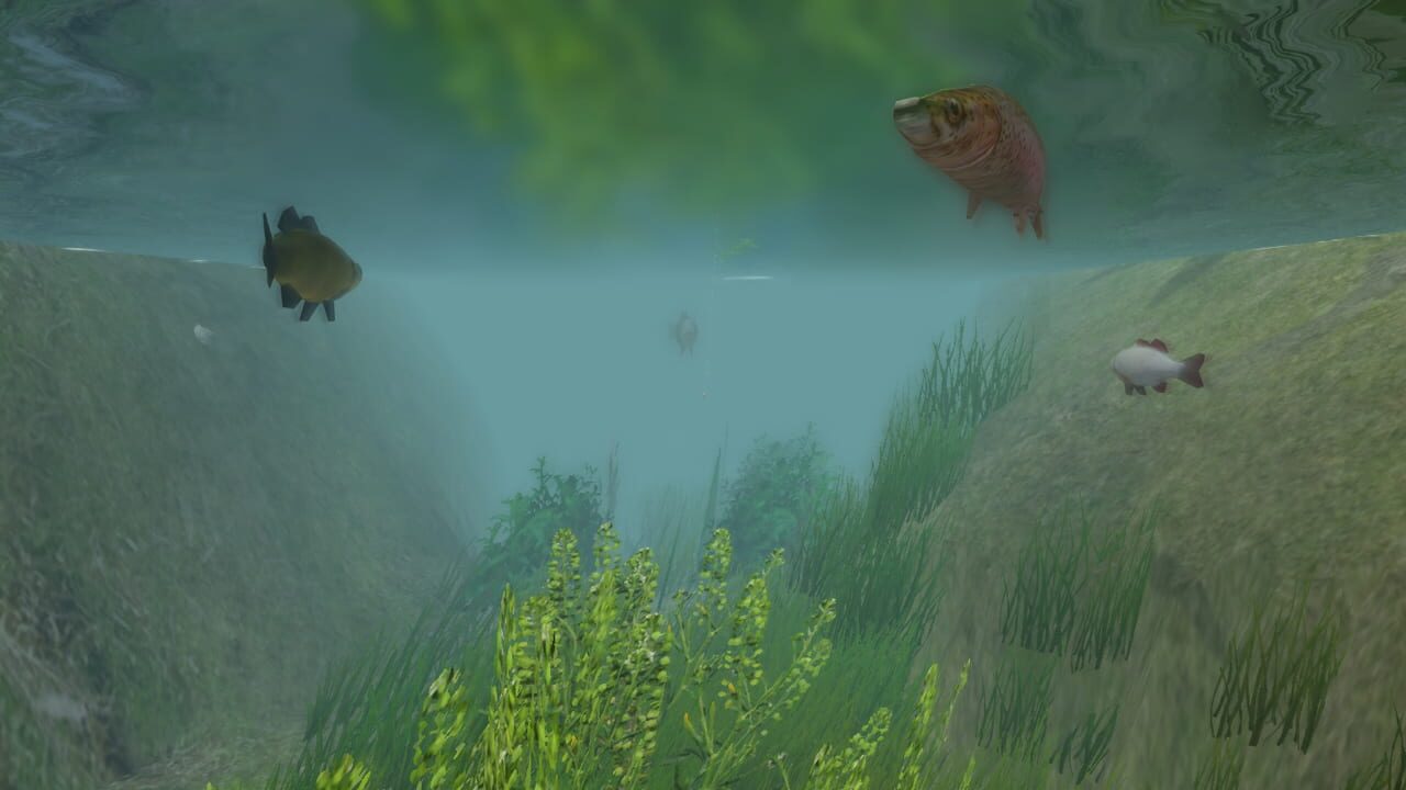Screenshot for European Fishing