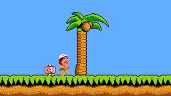 Screenshot for Hudson's Adventure Island