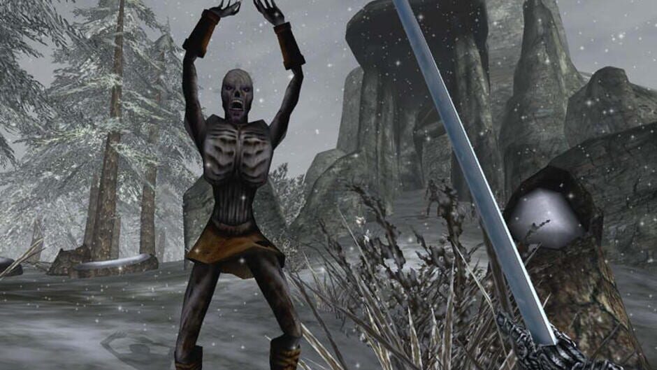 Screenshot for The Elder Scrolls III: Bloodmoon