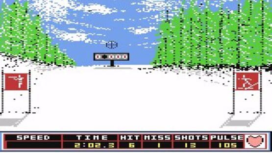 Screenshot for Winter Games