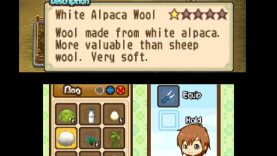 Screenshot for Harvest Moon: The Tale of Two Towns