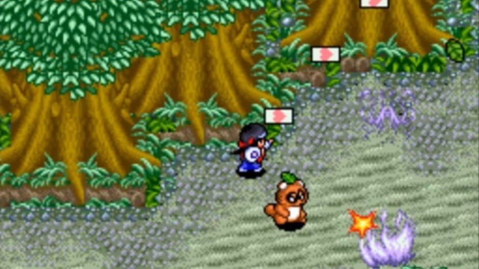 Screenshot for Pocky & Rocky 2