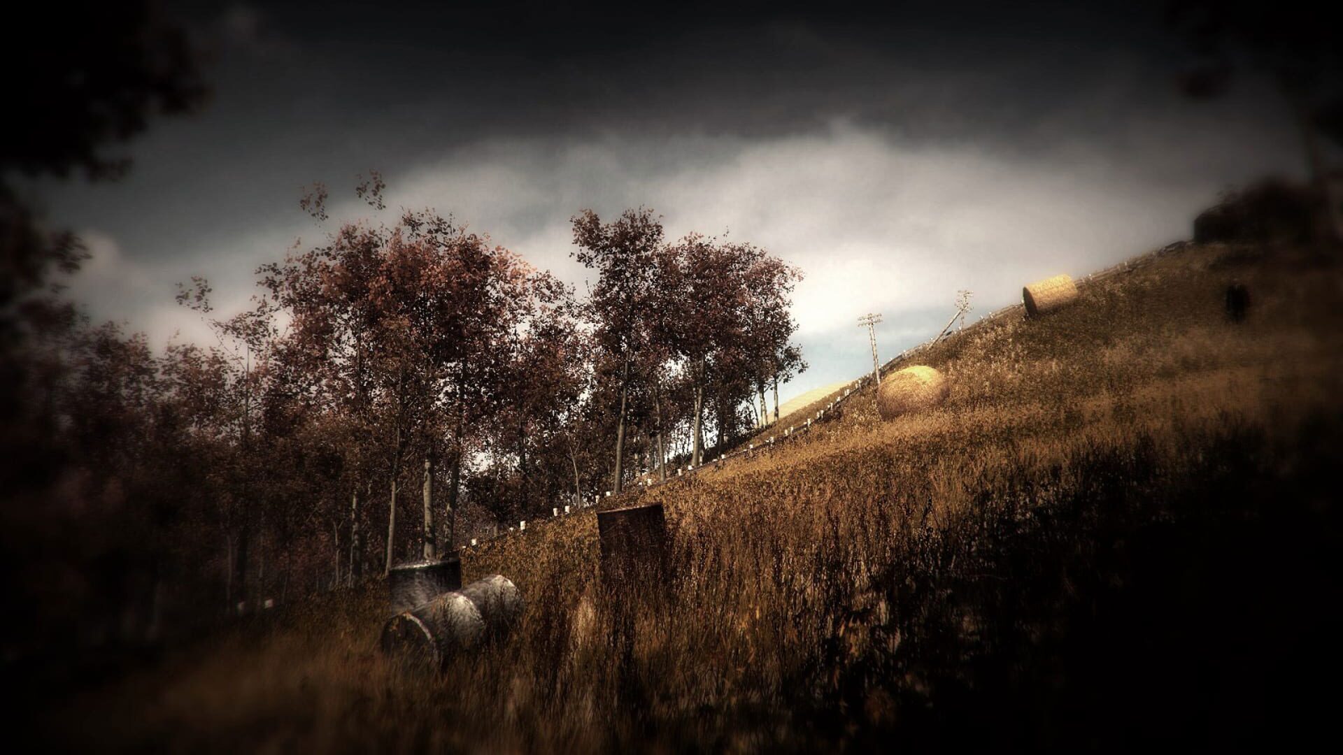 Screenshot for Slender: The Arrival