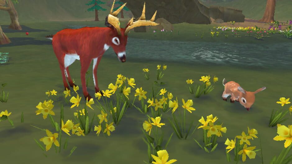 Screenshot for SimAnimals