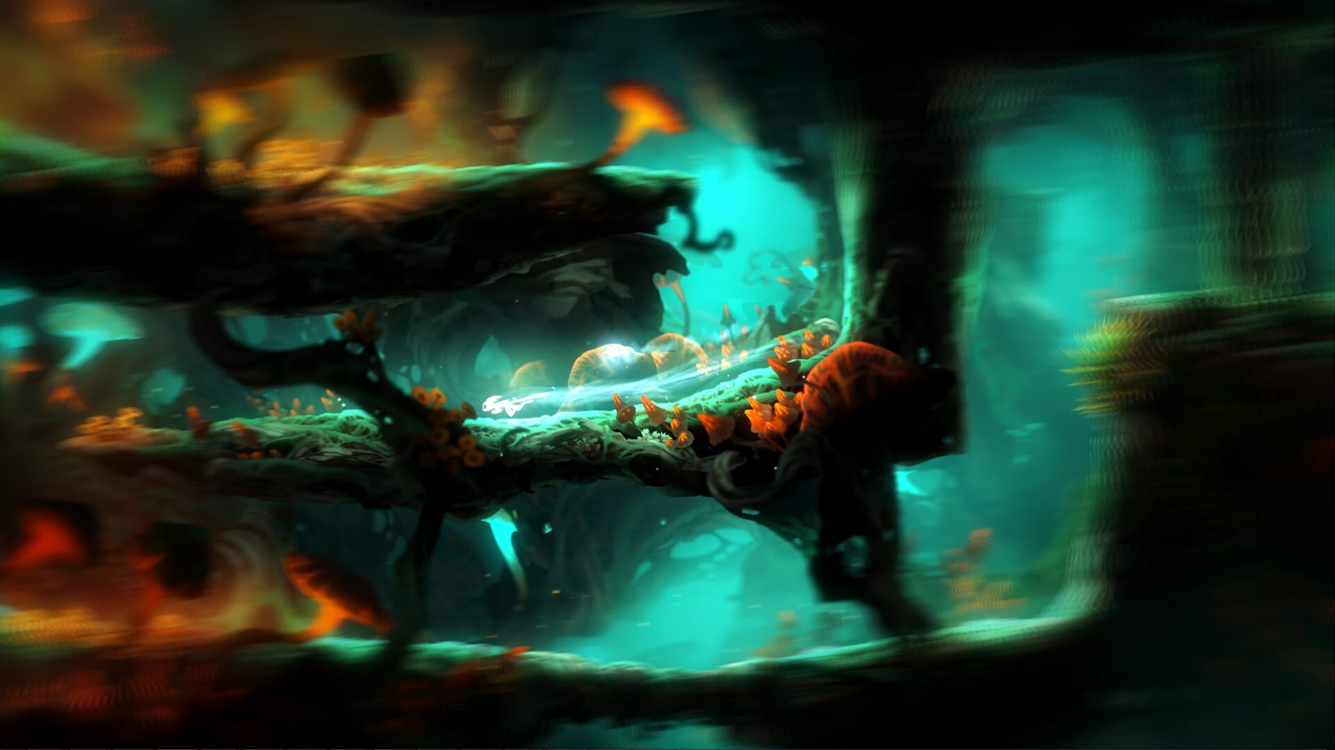Screenshot for Ori and the Blind Forest: Definitive Edition