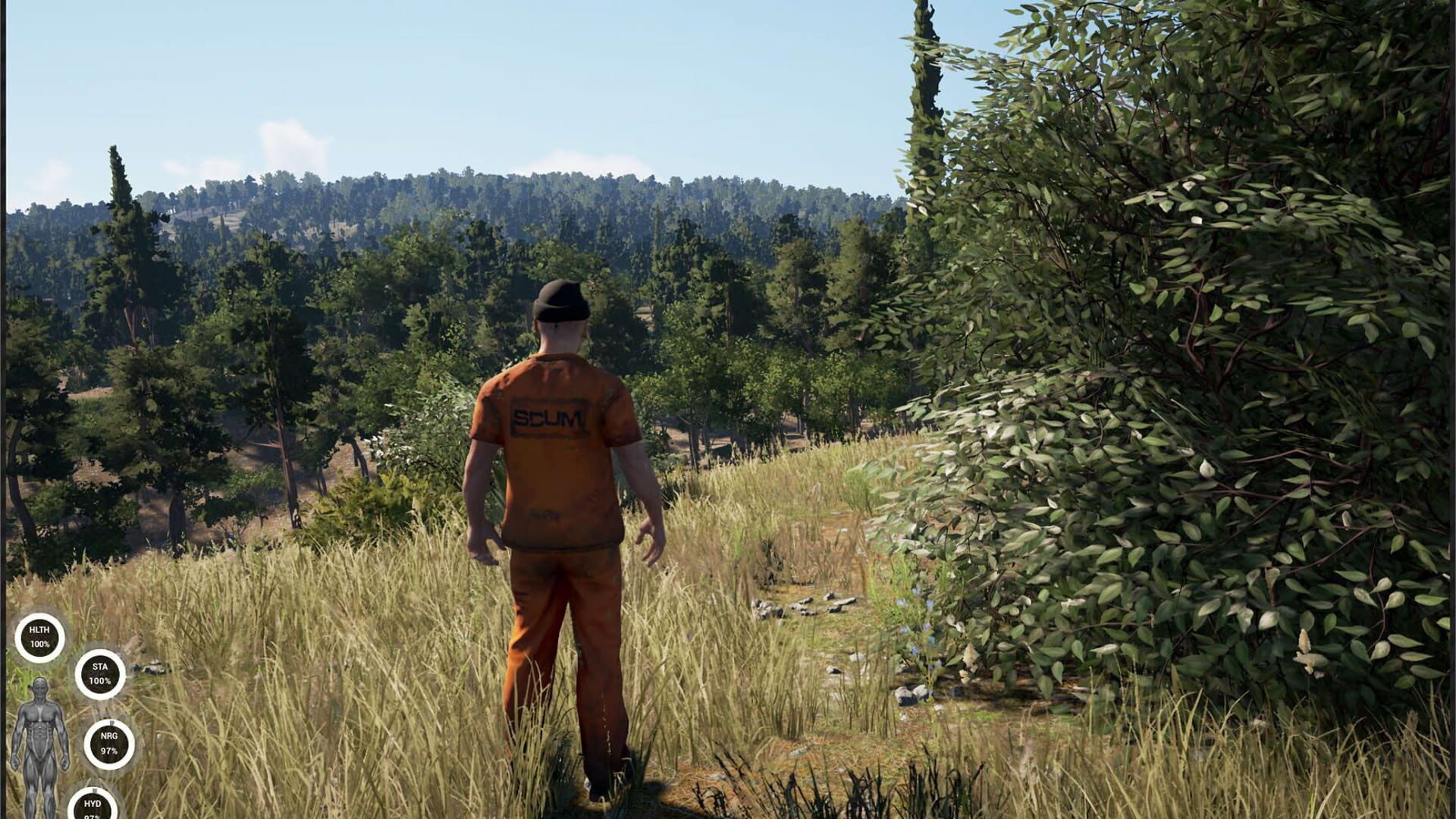 Screenshot for Scum