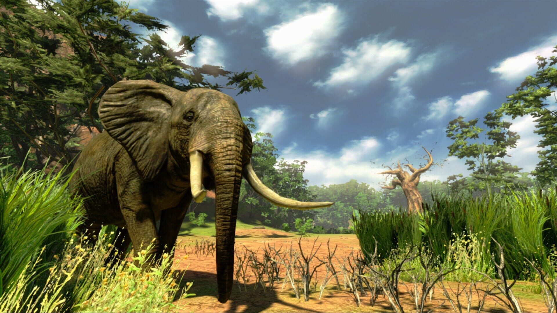 Screenshot for Cabela's Hunting Expeditions