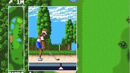 Screenshot for Power Golf