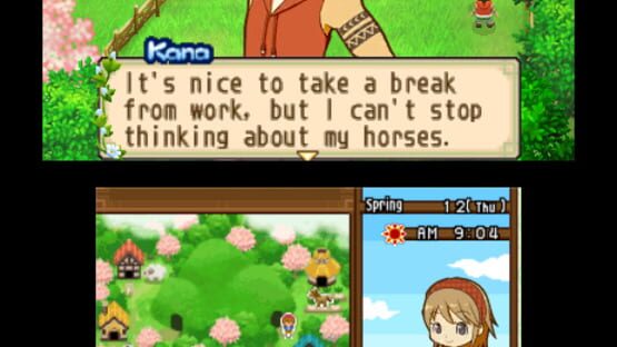 Screenshot for Harvest Moon: The Tale of Two Towns