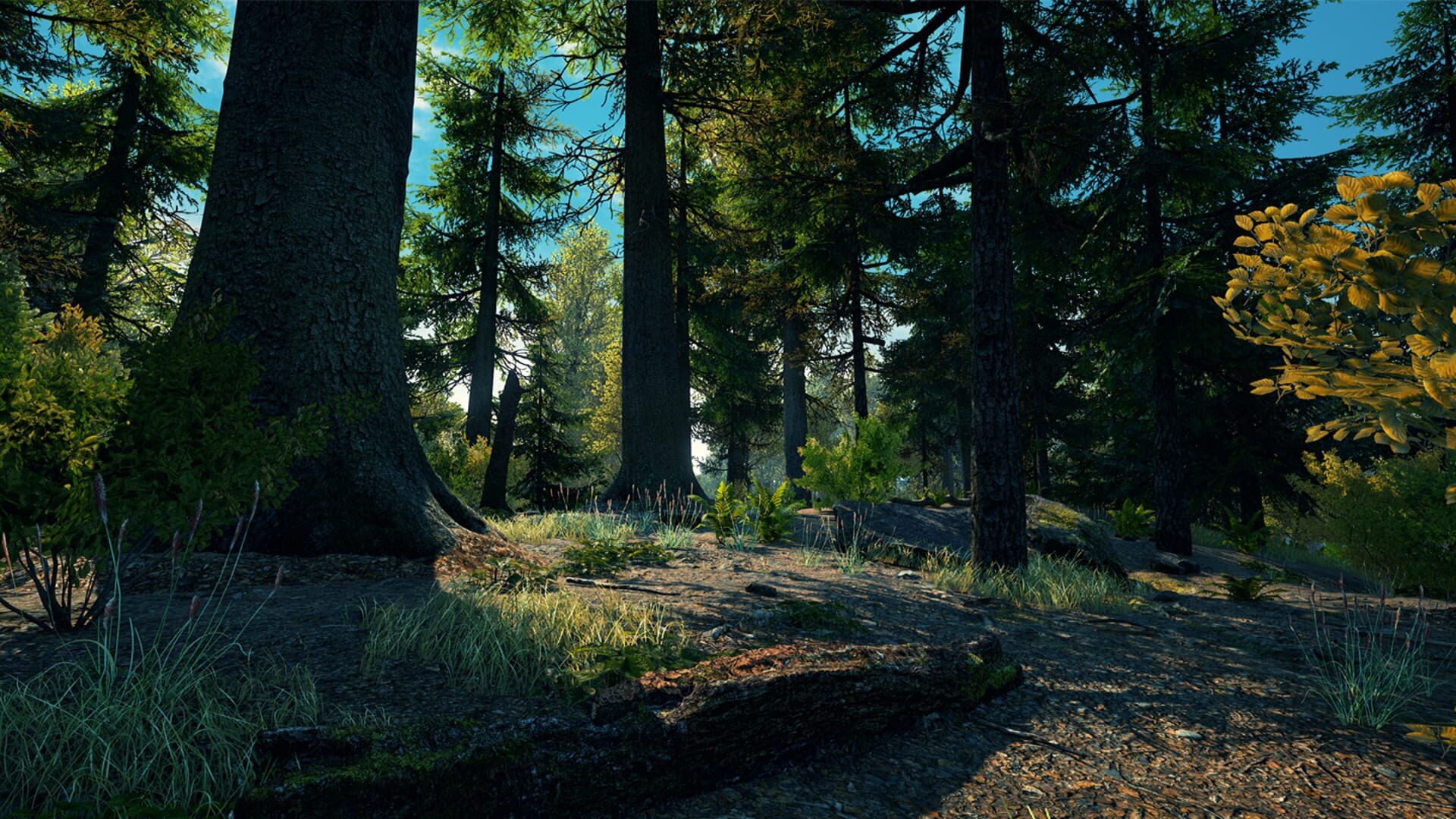 Screenshot for Vestige of the Past