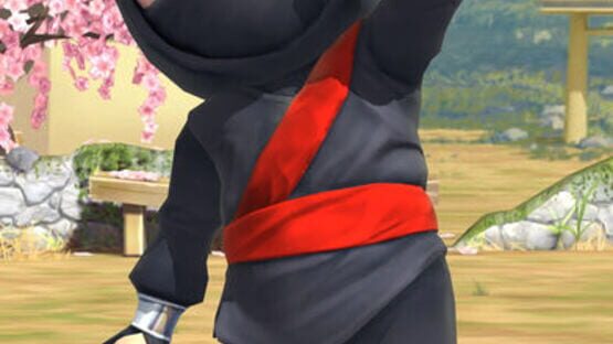 Screenshot for Clumsy Ninja
