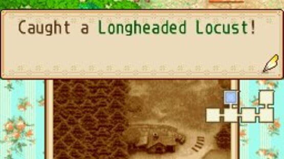 Screenshot for Harvest Moon DS: Grand Bazaar