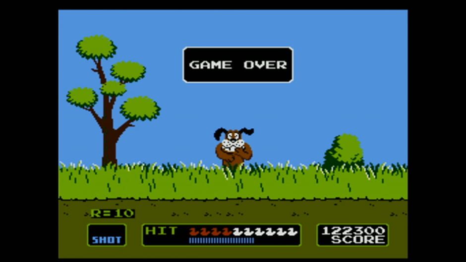 Screenshot for Duck Hunt