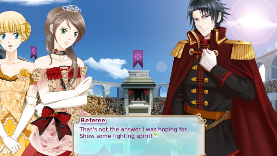 Screenshot for Princess Battles