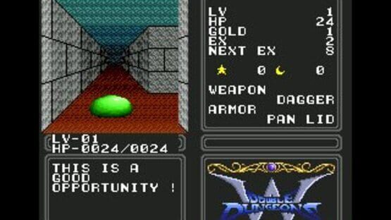 Screenshot for Double Dungeons