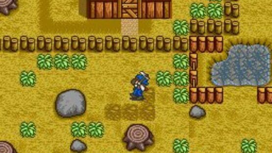 Screenshot for Harvest Moon