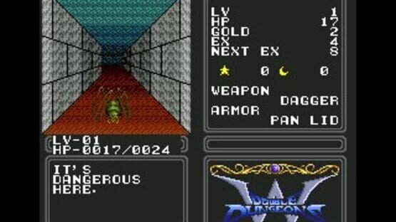 Screenshot for Double Dungeons