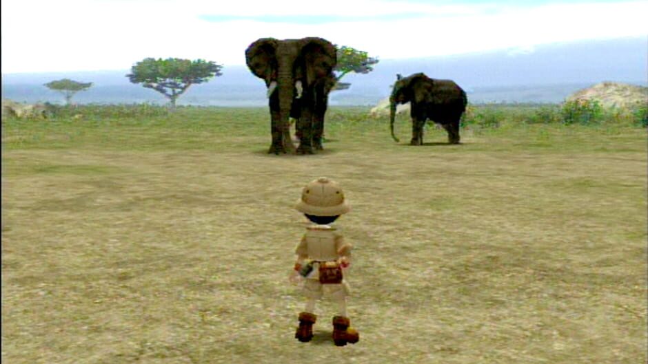 Screenshot for Animal Kingdom: Wildlife Expedition