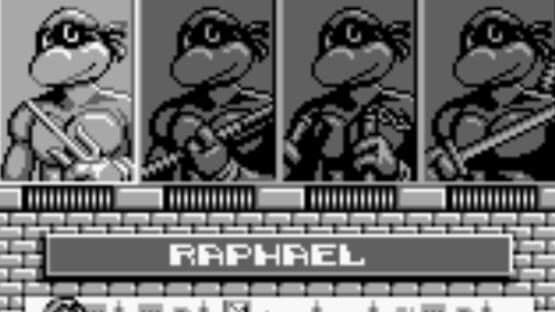 Screenshot for Teenage Mutant Ninja Turtles II: Back from the Sewers