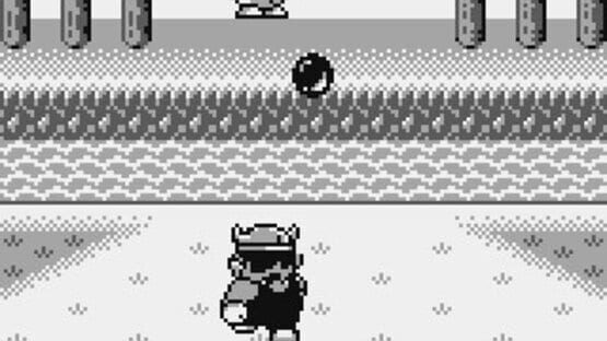 Screenshot for Wario Land: Super Mario Land 3
