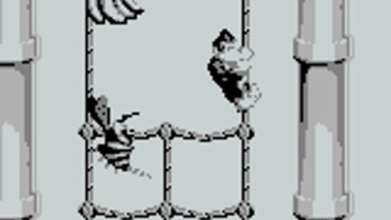 Screenshot for Donkey Kong Land
