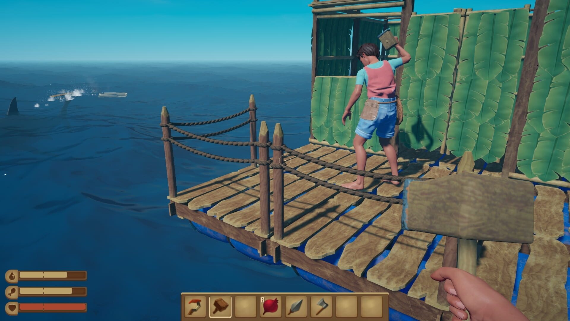 Screenshot for Raft