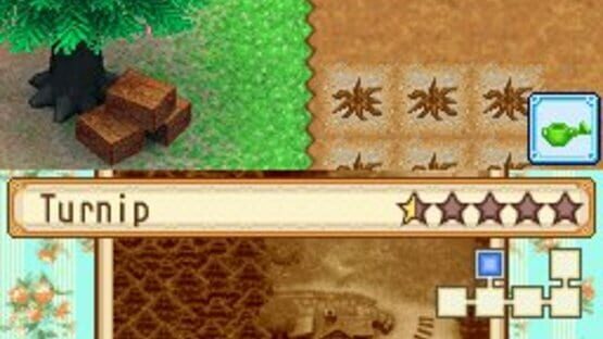 Screenshot for Harvest Moon DS: Grand Bazaar