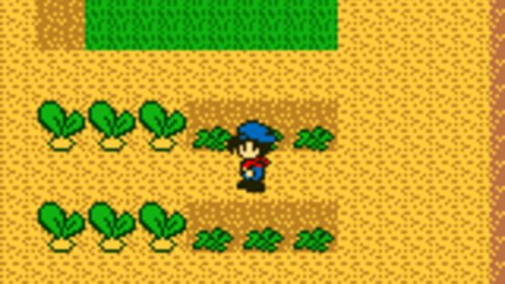 Screenshot for Harvest Moon GB