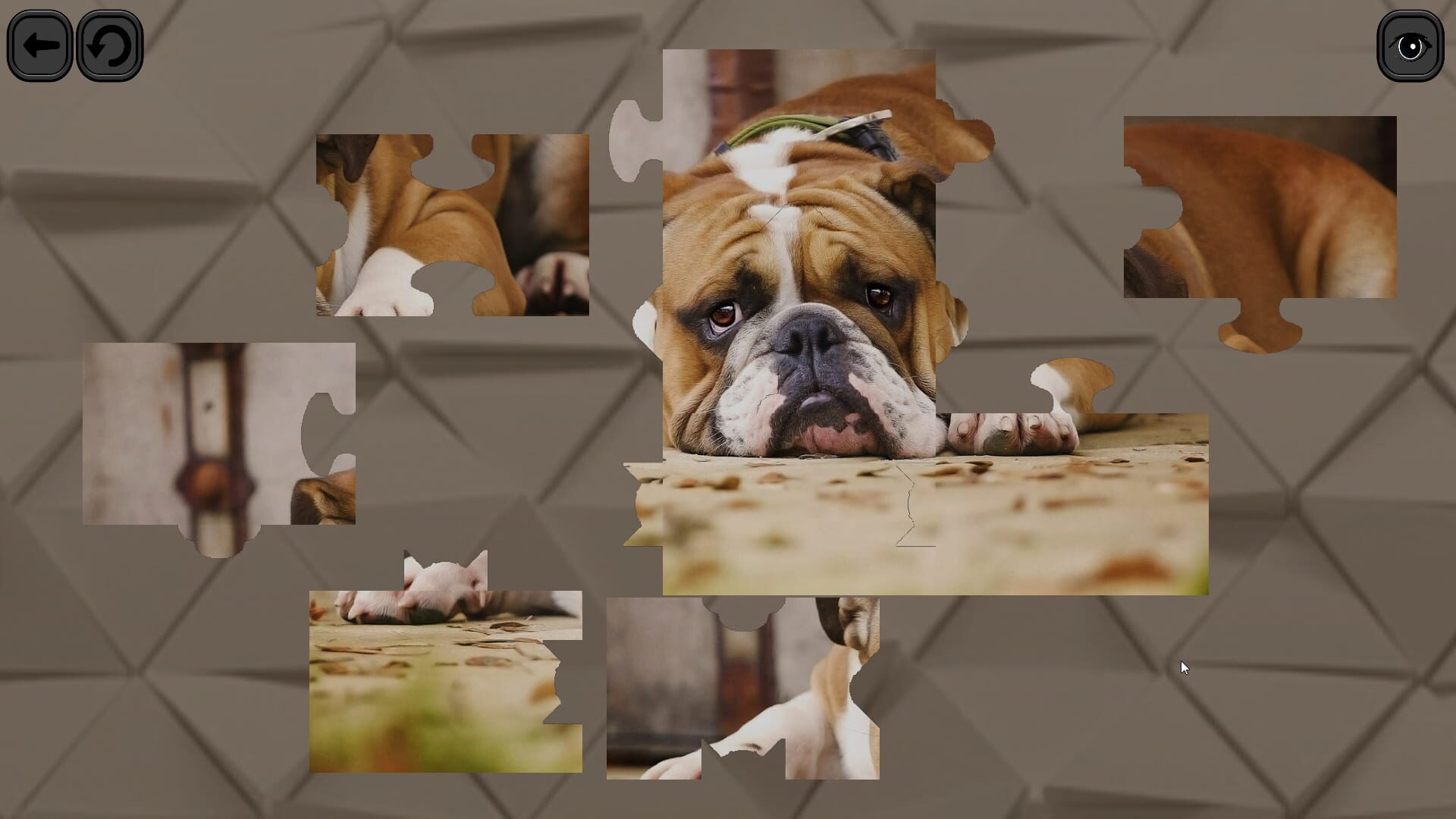 Screenshot for Puzzles for smart: Dogs