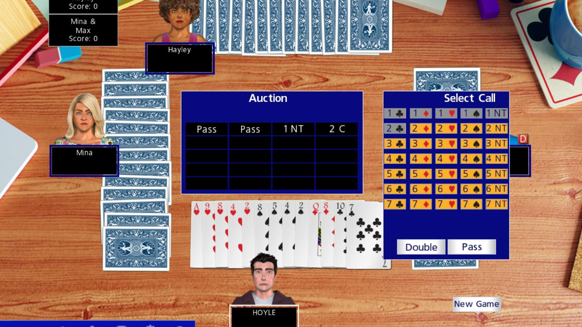 Screenshot for Hoyle Official Card Games Collection