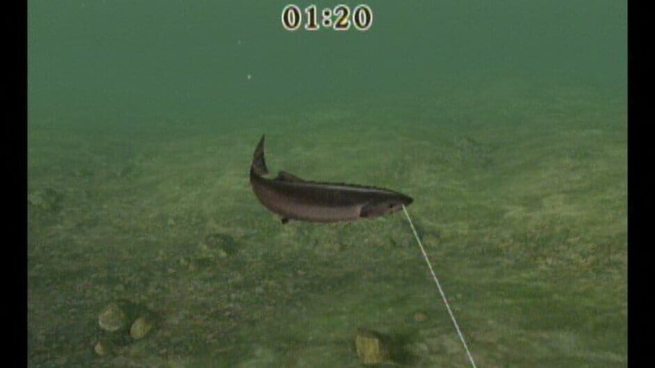 Screenshot for Reel Fishing Challenge