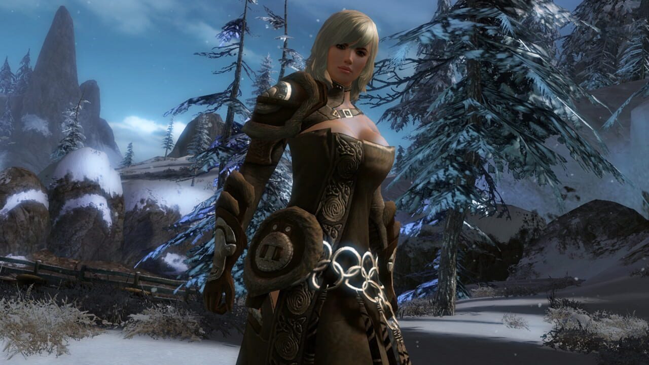 Screenshot for Guild Wars 2