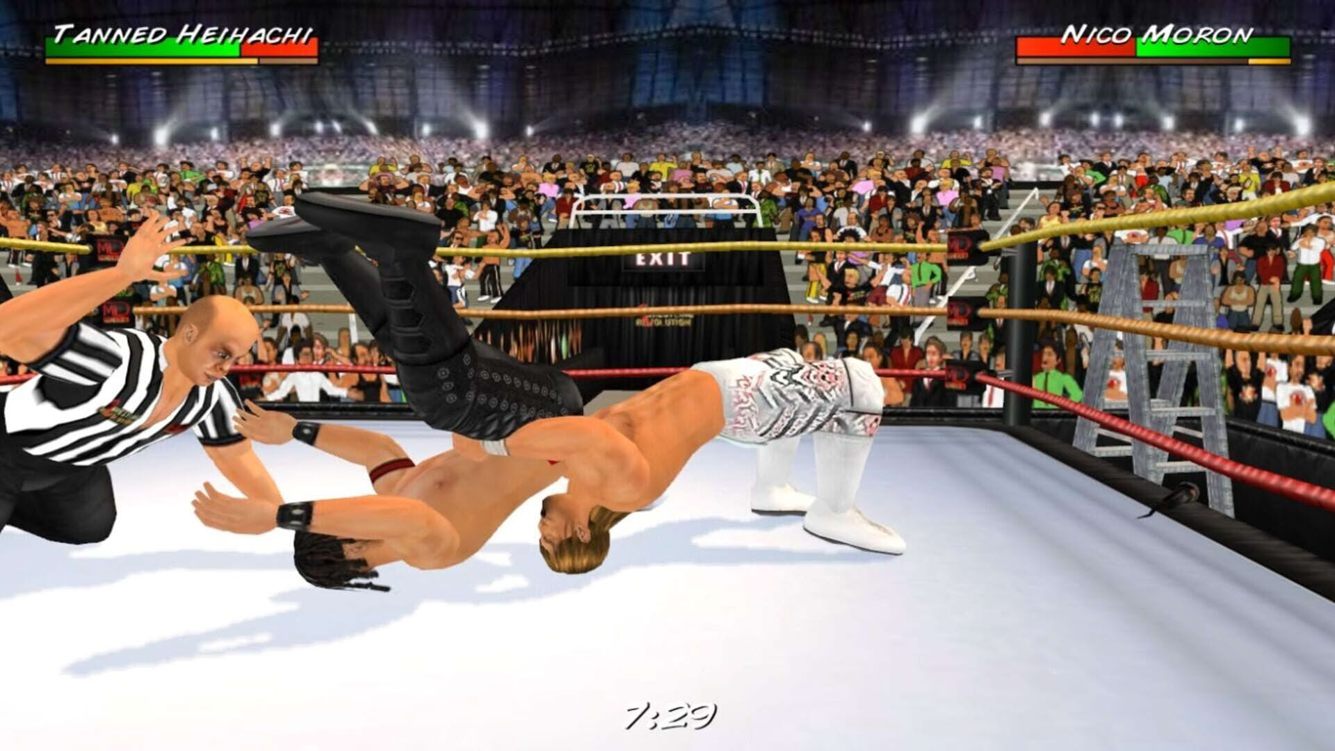 Screenshot for Wrestling Revolution 3D
