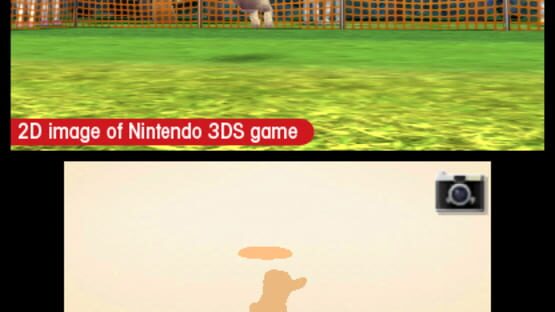Screenshot for Nintendogs + Cats: French Bulldog & New Friends