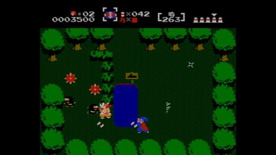 Screenshot for The Mysterious Murasame Castle
