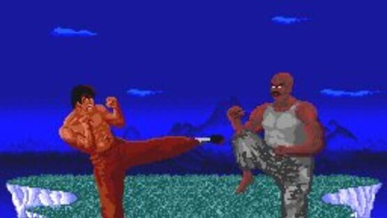 Screenshot for China Warrior