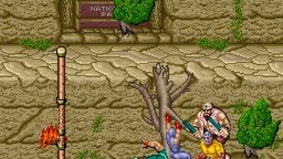 Screenshot for Ninja Gaiden