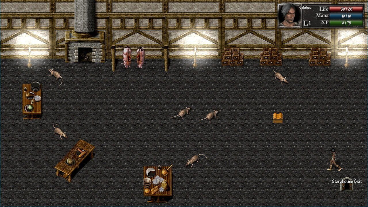 Screenshot for Catacombs 1: Demon War