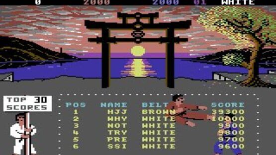 Screenshot for International Karate +