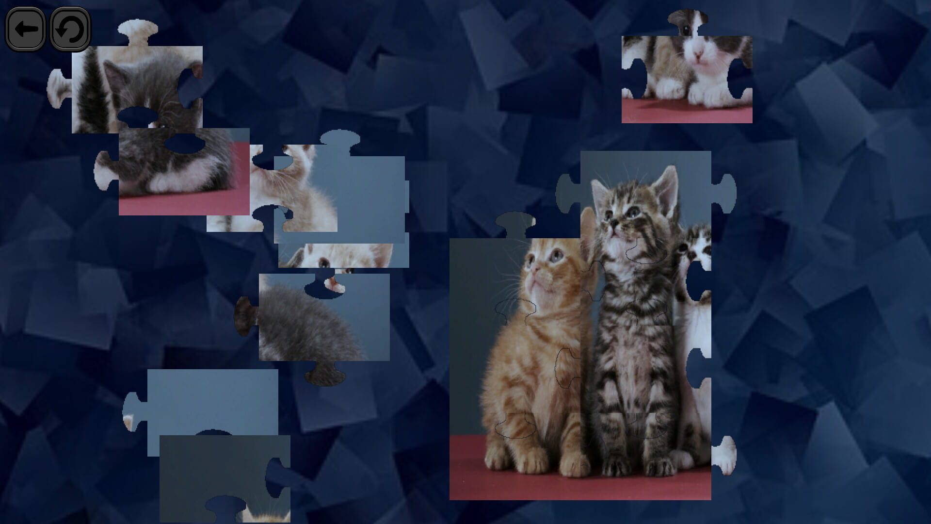 Screenshot for Puzzles for smart: Cats