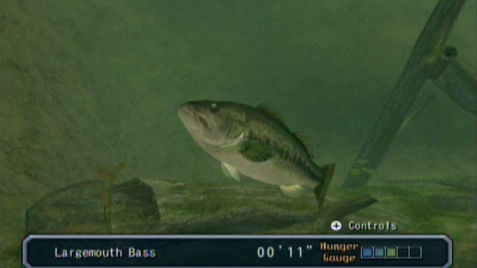 Screenshot for Reel Fishing: Angler's Dream